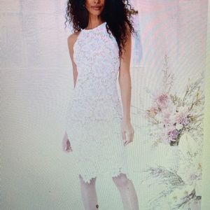 Lace Lulus Dress with Nude underlay.